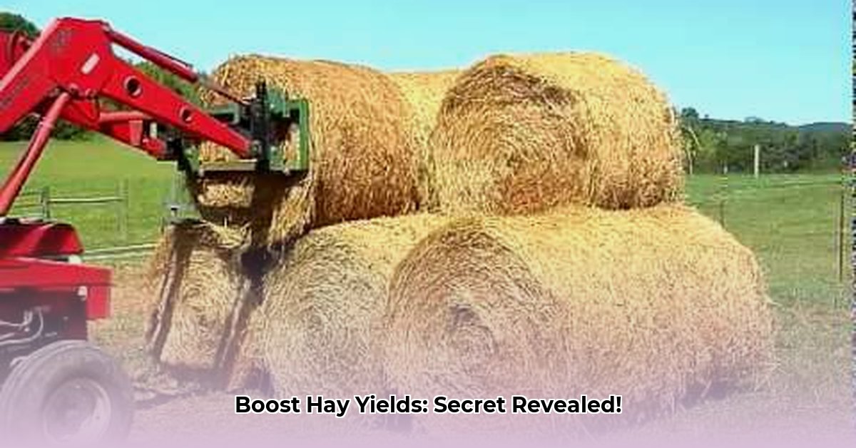 hay-tarps-tractor-supply